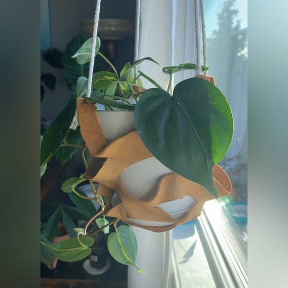 leather plant hangers Custom-made on Vancouver island. Holds 6 to 8 inch pot. - Picture 11 of 12